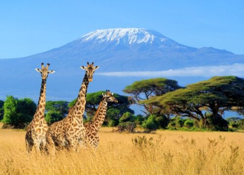 MOUNT KILIMANJARO - MACHAME ROUTE - 5 DAYS