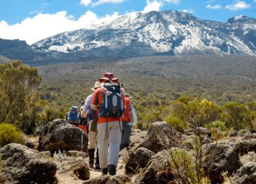 KILIMANJARO – UMBWE ROUTE – 6 DAYS