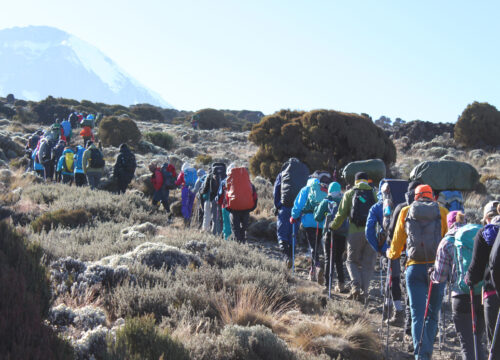 KILIMANJARO – LEMOSHO ROUTE – 7 DAYS