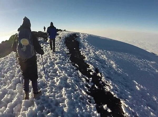 MULTI-PARK – WILDBEEST MIGRATION – 8 DAY SAFARI