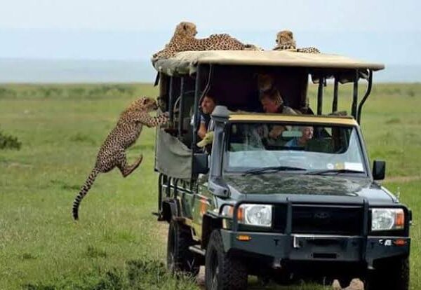 MT KENYA – SIRIMON GATE – 4 DAYS