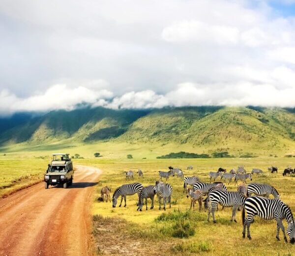 RUAHA NATIONAL PARK - SOURTHERN CIRCUIT - 3 DAYS SAFARI