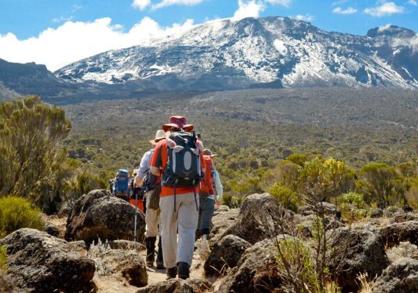 MULTI-PARK – NORTHERN CIRCUIT – 8 DAY SAFARI