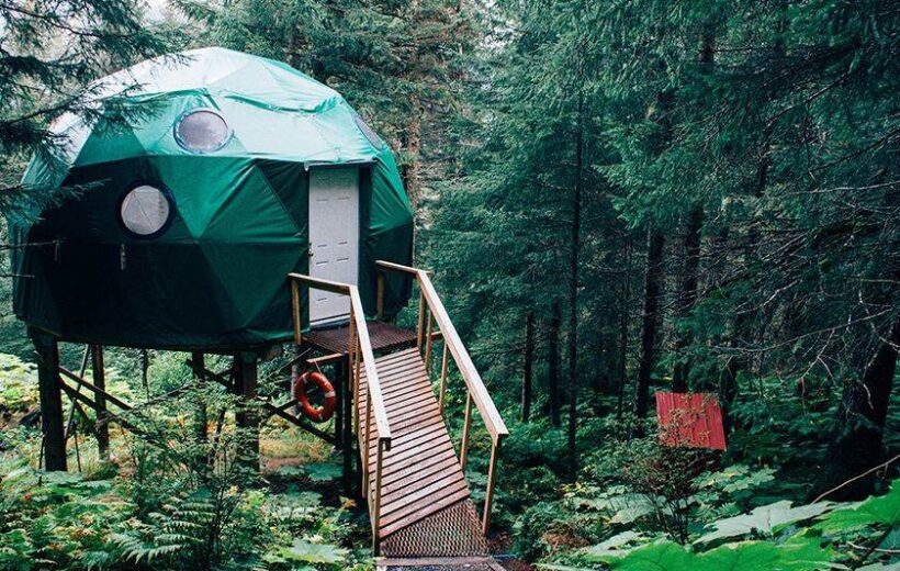 MIKUMI – SOURTHERN CIRCUIT- 3 DAYS SAFARI