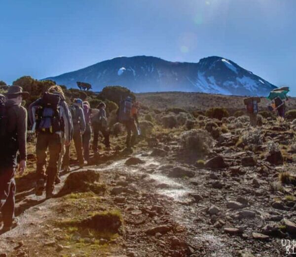 SPECIAL HONEYMOON LODGE - 6 DAY SAFARI