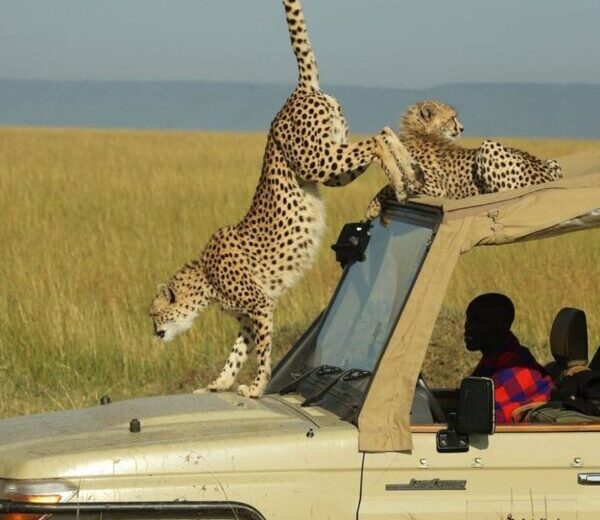 MOSHI RURAL CULTURAL TOURISM VIA RUNDUGAI WARM SPRING – 1 DAY TRIP